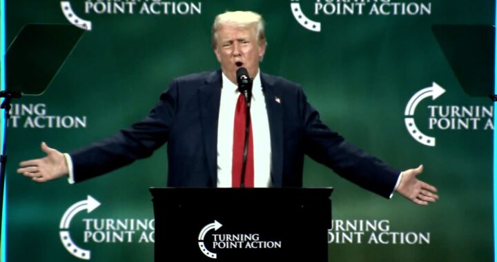 No More Elections: Trump Will Fix It So You Don’t Have to Vote