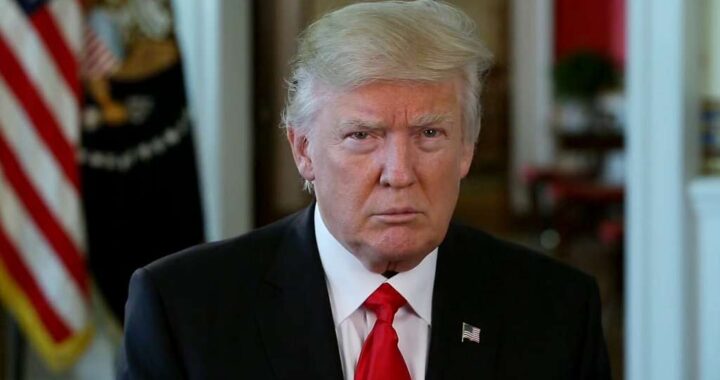 Trump’s X Return: The Grand Re-Entrance