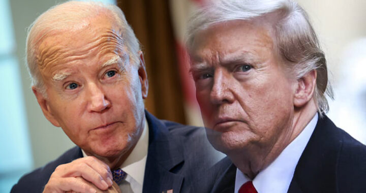 Who Faired Better: Trump VS Biden